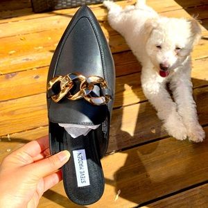 Steve Madden Finn Chain Pointed Toe Mule💣
